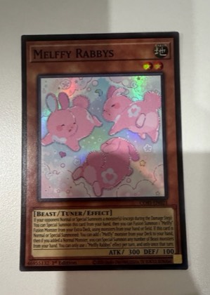 Melffy Rabbys, graded 8.5