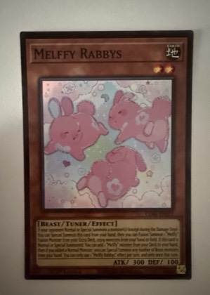 Melffy Rabbys, graded 8.5