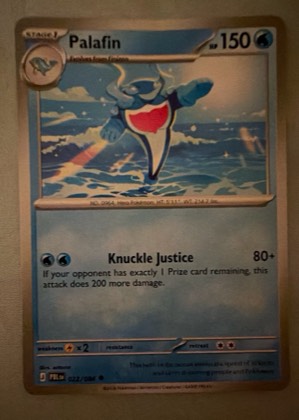 Palafin graded 8