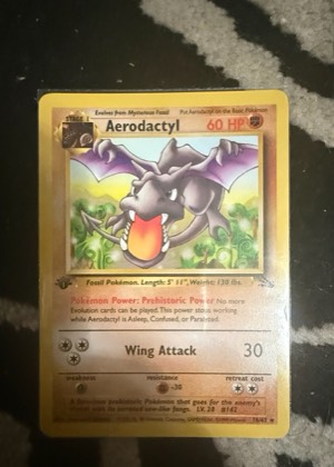 Aerodactyl (16) graded 7