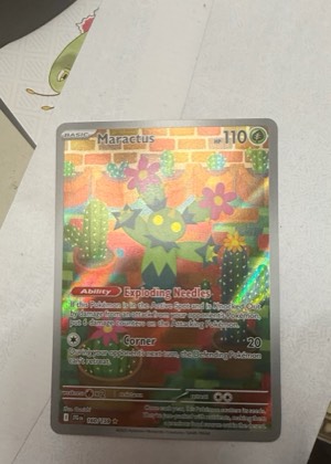 Maractus, graded 9.0