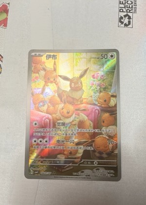 伊布, graded 9.0