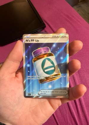 N's PP Up - 262/217 graded 9