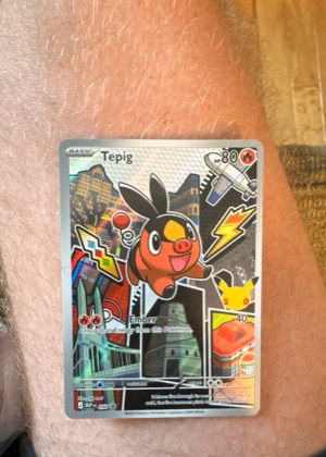 Tepig, graded 9.5