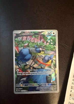 Rookidee, graded 9.0