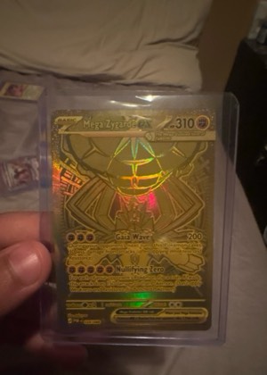 Mega Zygarde ex, graded 9.0