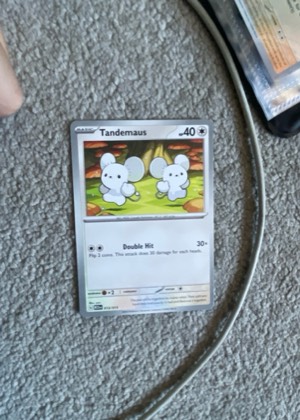 Tandemaus, graded 9.0