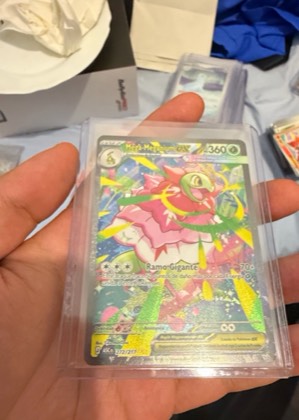Mega-Meganium ex, graded 9.0